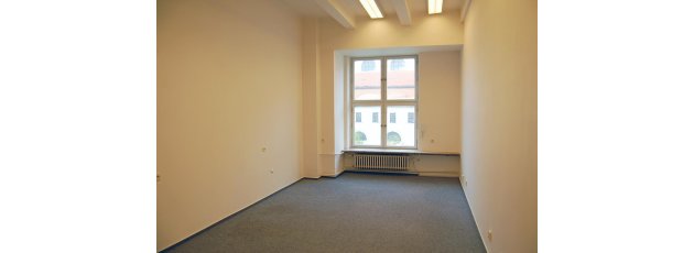 brno reality