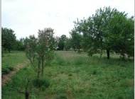 Prodej pozemku - Modřice - okr. Brno - venkov - CP 17207m2