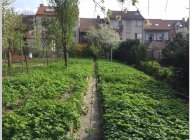 Prodej rodinného domu Brno-Obřany, Fryčajova, zahrada.