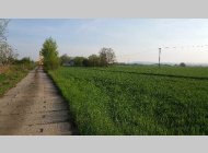 Komerční pozemek - Brno - Dolní Heršpice - 8.102 m2