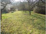 Pozemek pro výstavbu - Česká - CP 2302m2 - šíře 19m