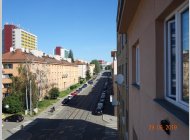 OV 1+1 Brno, ul. Purkyňova