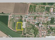 Prodej pozemku 13.000 m2 Křižanovice u Bučovic (u Slavkova u Brna).