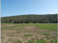 Pozemek - Brno - Soběšice - CP 2.371 m2