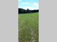 Pozemek na stavbu RD Javůrek - CP 2.919 m2