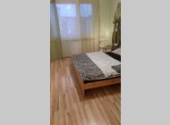 Prodej bytu 2+1 +L v OV