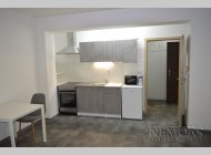 Pronájem bytu 1+kk Skorkovského, Brno