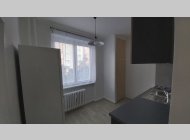 Pronájem bytu 2+1 v OV
