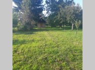 Prodej pozemku v k.ú. Rajhrad se zahradní chatkou