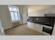 Pronájem bytu 3,5+1 po celkové rekonstrukci, CP 100 m2, klidné místo u parku.