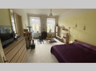 Pronájem bytu 3,5+1 po renovaci, CP 100 m2. Klidne misto u parku.