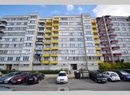 Nabídka - pronájem, Byt: 3+kk, Tábor