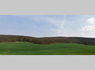 Pozemky - orná půda a les 2100 m2 Brno-Bosonohy
