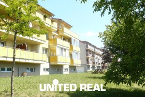 Image category
