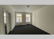 Pronájem bytu 3,5+1 po celkové rekonstrukci, CP 100 m2, klidné místo u parku.